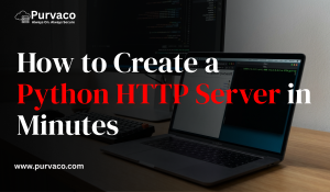 python https server