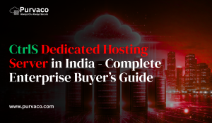 CtrlS Dedicated Hosting Server